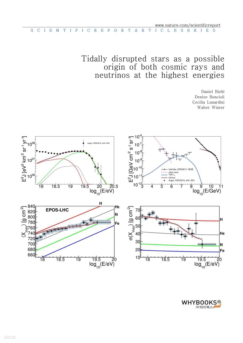 Tidally disrupted stars as a possible origin of both cosmic rays and neutrinos at the highest energies