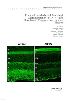 Proteomic Analysis and Functional Characterization of P4-ATPase Phospholipid Flippases from Murine Tissues