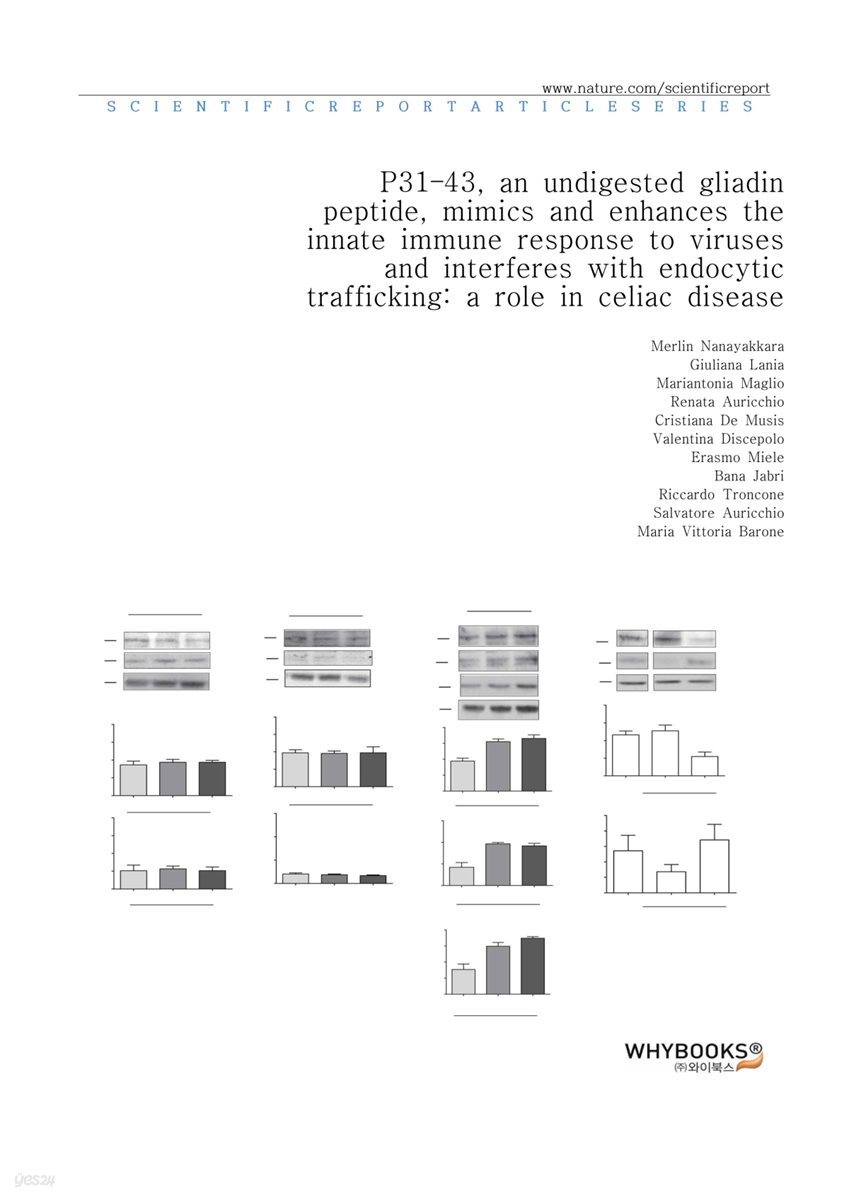 P31?43, an undigested gliadin peptide, mimics and enhances the innate immune response to viruses and interferes with endocytic trafficking a role in celiac disease