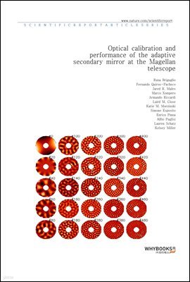 Optical calibration and performance of the adaptive secondary mirror at the Magellan telescope