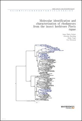 Molecular identification and characterization of rhodaneses from the insect herbivore Pieris rapae