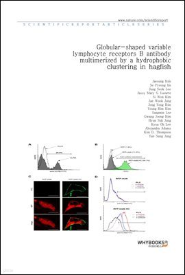 Globular-shaped variable lymphocyte receptors B antibody multimerized by a hydrophobic clustering in hagfish