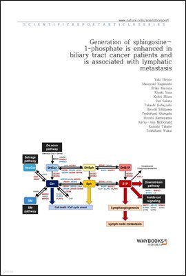 Generation of sphingosine-1-phosphate is enhanced in biliary tract cancer patients and is associated with lymphatic metastasis