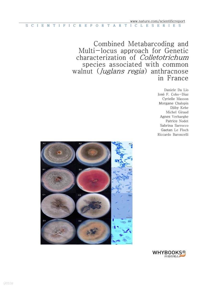 Combined Metabarcoding and Multi-locus approach for Genetic characterization of Colletotrichum species associated with common walnut (Juglans regia) anthracnose in France