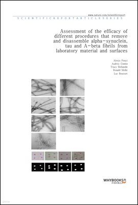 Assessment of the efficacy of different procedures that remove and disassemble alpha-synuclein, tau and A-beta fibrils from laboratory material and surfaces