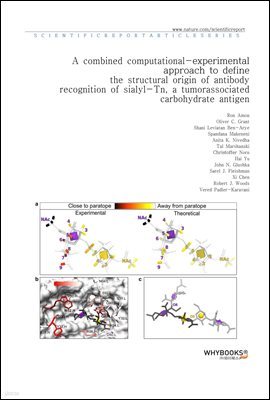 A combined computational-experimental approach to define the structural origin of antibody recognition of sialyl-Tn, a tumor-associated carbohydrate antigen