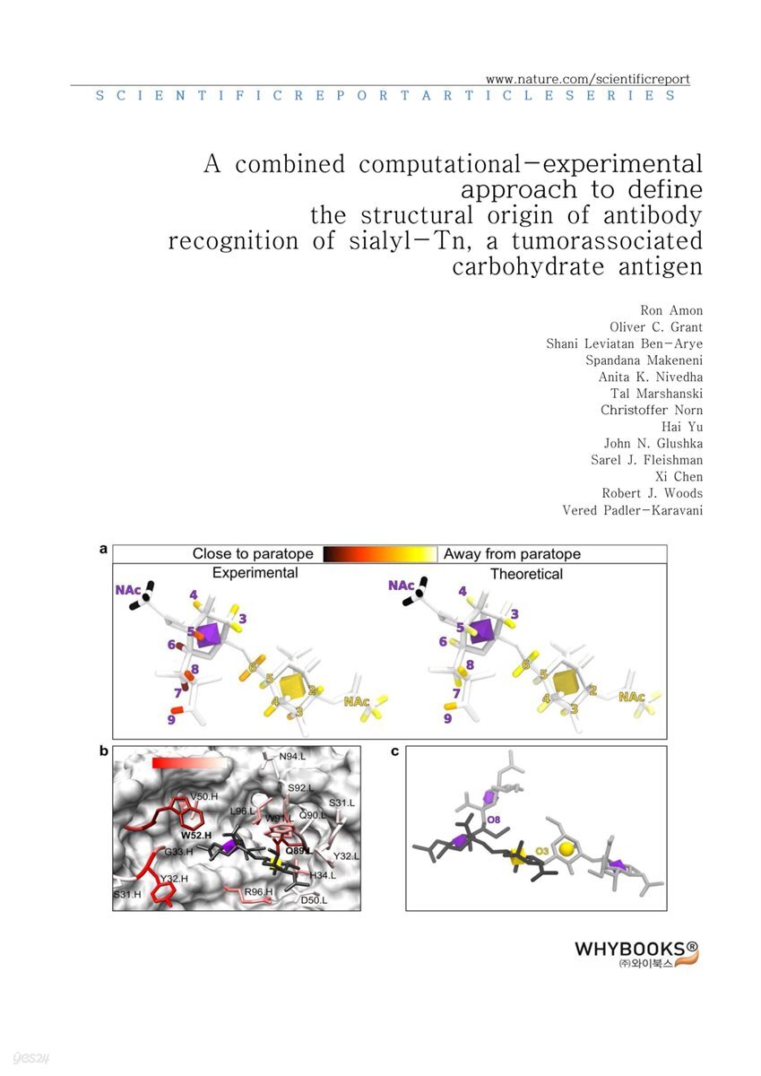 A combined computational-experimental approach to define the structural origin of antibody recognition of sialyl-Tn, a tumor-associated carbohydrate antigen
