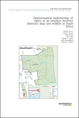 Spatiotemporal epidemiology of rabies at an interface between domestic dogs and wildlife in South Africa