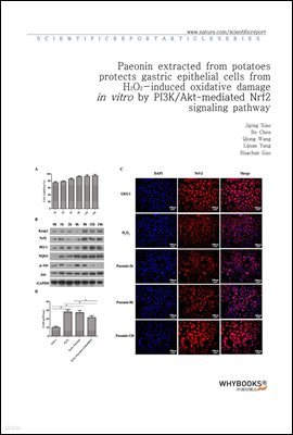 Paeonin extracted from potatoes protects gastric epithelial cells from H2O2-induced oxidative damage in vitro by PI3KAkt-mediated Nrf2 signaling pathway