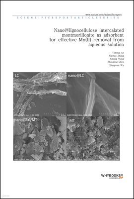 Nano@lignocellulose intercalated montmorillonite as adsorbent for effective Mn(II) removal from aqueous solution