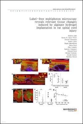 Label-free multiphoton microscopy reveals relevant tissue changes induced by alginate hydrogel implantation in rat spinal cord injury