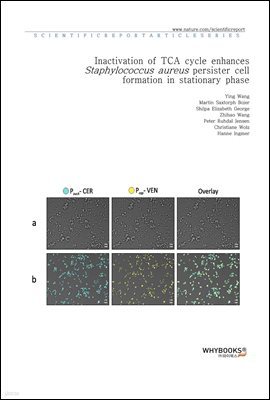 Inactivation of TCA cycle enhances Staphylococcus aureus persister cell formation in stationary phase