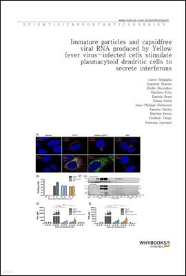 Immature particles and capsid-free viral RNA produced by Yellow fever virus-infected cells stimulate plasmacytoid dendritic cells to secrete interferons