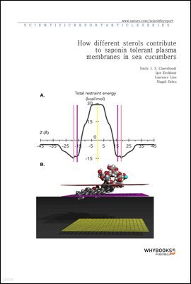 How different sterols contribute to saponin tolerant plasma membranes in sea cucumbers