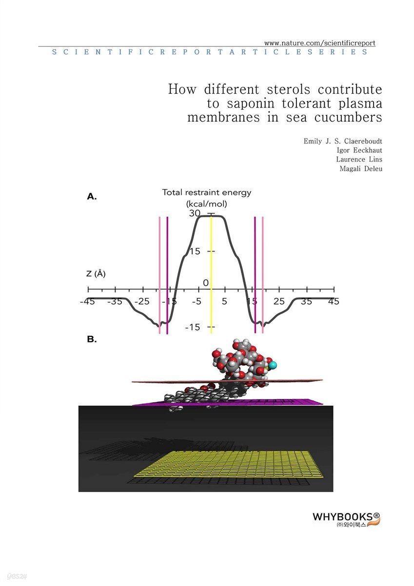 How different sterols contribute to saponin tolerant plasma membranes in sea cucumbers