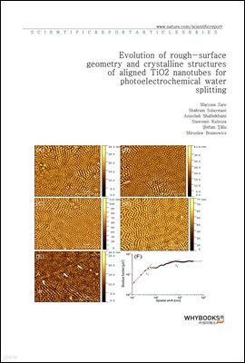 Evolution of rough-surface geometry and crystalline structures of aligned TiO2 nanotubes for photoelectrochemical water splitting