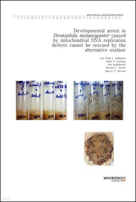 Developmental arrest in Drosophila melanogaster caused by mitochondrial DNA replication defects cannot be rescued by the alternative oxidase