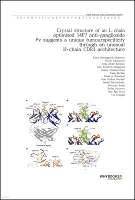 Crystal structure of an L chain optimised 14F7 anti-ganglioside Fv suggests a unique tumour-specificity through an unusual H-chain CDR3 architecture