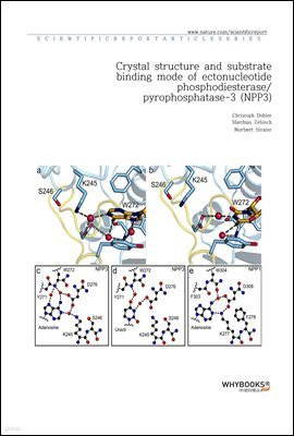 Crystal structure and substrate binding mode of ectonucleotide phosphodiesterasepyrophosphatase-3 (NPP3)