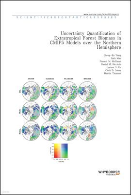 Uncertainty Quantification of Extratropical Forest Biomass in CMIP5 Models over the Northern Hemisphere
