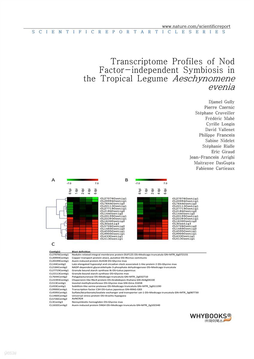 Transcriptome Profiles of Nod Factor-independent Symbiosis in the Tropical Legume Aeschynomene evenia