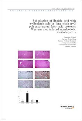 Substitution of linoleic acid with -linolenic acid or long chain n-3 polyunsaturated fatty acid prevents Western diet induced nonalcoholic steatohepatitis