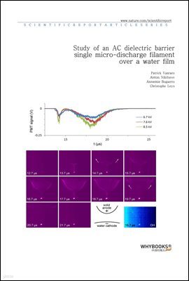 Study of an AC dielectric barrier single micro-discharge filament over a water film