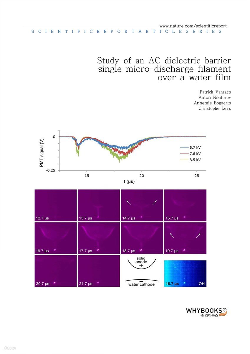 Study of an AC dielectric barrier single micro-discharge filament over a water film