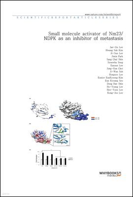 Small molecule activator of Nm23NDPK as an inhibitor of metastasis
