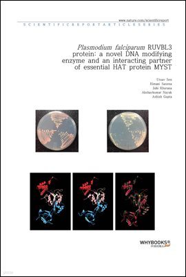 Plasmodium falciparum RUVBL3 protein a novel DNA modifying enzyme and an interacting partner of essential HAT protein MYST