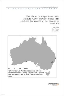 New dates on dingo bones from Madura Cave provide oldest firm evidence for arrival of the species in Australia