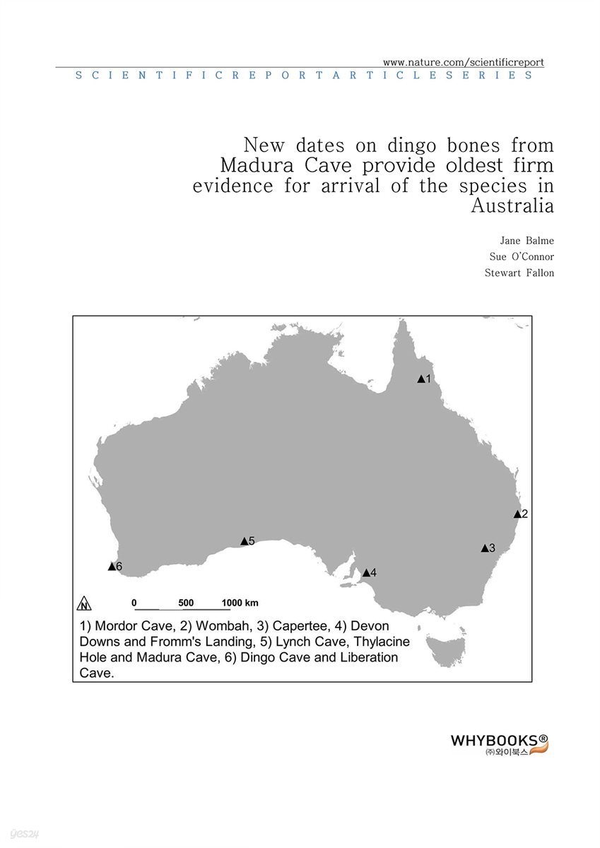 New dates on dingo bones from Madura Cave provide oldest firm evidence for arrival of the species in Australia