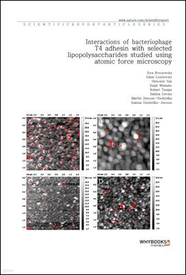 Interactions of bacteriophage T4 adhesin with selected lipopolysaccharides studied using atomic force microscopy
