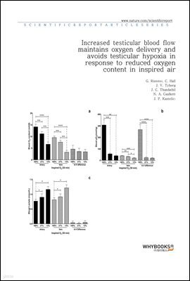 Increased testicular blood flow maintains oxygen delivery and avoids testicular hypoxia in response to reduced oxygen content in inspired air