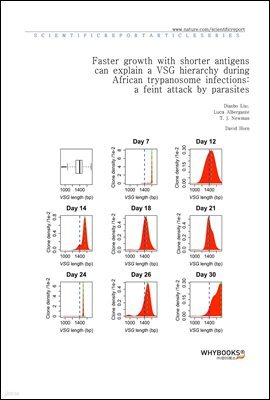 Faster growth with shorter antigens can explain a VSG hierarchy during African trypanosome infections a feint attack by parasites