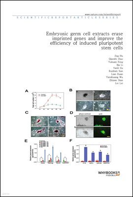 Embryonic germ cell extracts erase imprinted genes and improve the efficiency of induced pluripotent stem cells