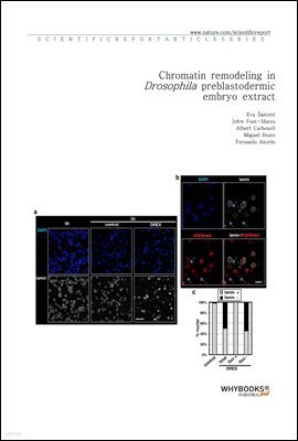 Chromatin remodeling in Drosophila preblastodermic embryo extract