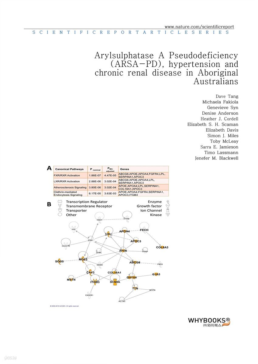 Arylsulphatase A Pseudodeficiency (ARSA-PD), hypertension and chronic renal disease in Aboriginal Australians