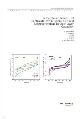 A Poly(ionic liquid) Gel Electrolyte for Efficient all Solid Electrochemical Double-Layer Capacitor