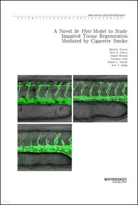 A Novel In Vivo Model to Study Impaired Tissue Regeneration Mediated by Cigarette Smoke
