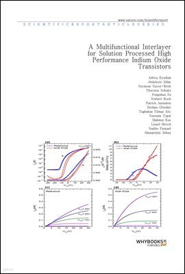 A Multifunctional Interlayer for Solution Processed High Performance Indium Oxide Transistors