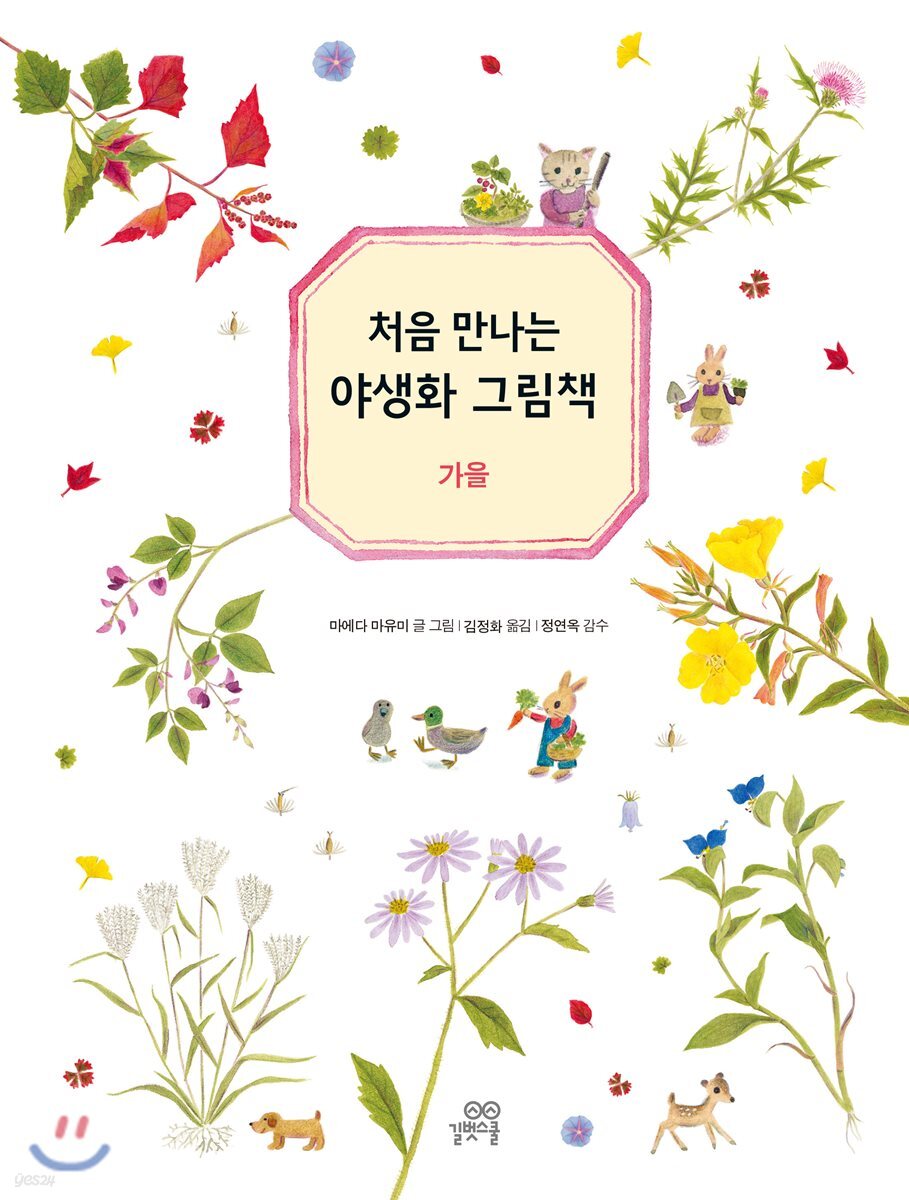 처음 만나는 야생화 그림책 : 가을