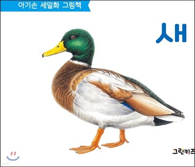 아기손 세밀화 그림책 새