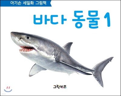 아기손 세밀화 그림책 바다동물 1