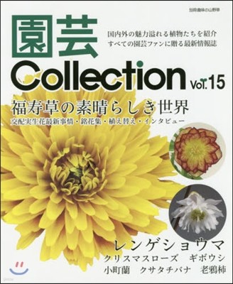 Collection Vol.15