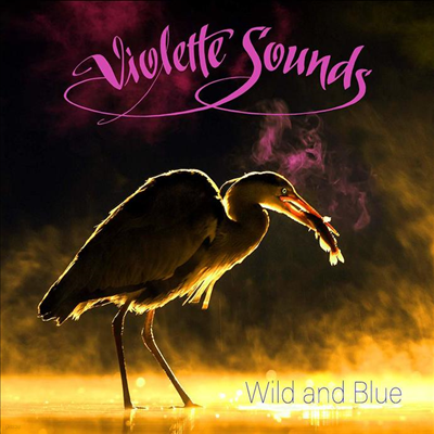 Violette Sounds - Wild & Blue (CD)