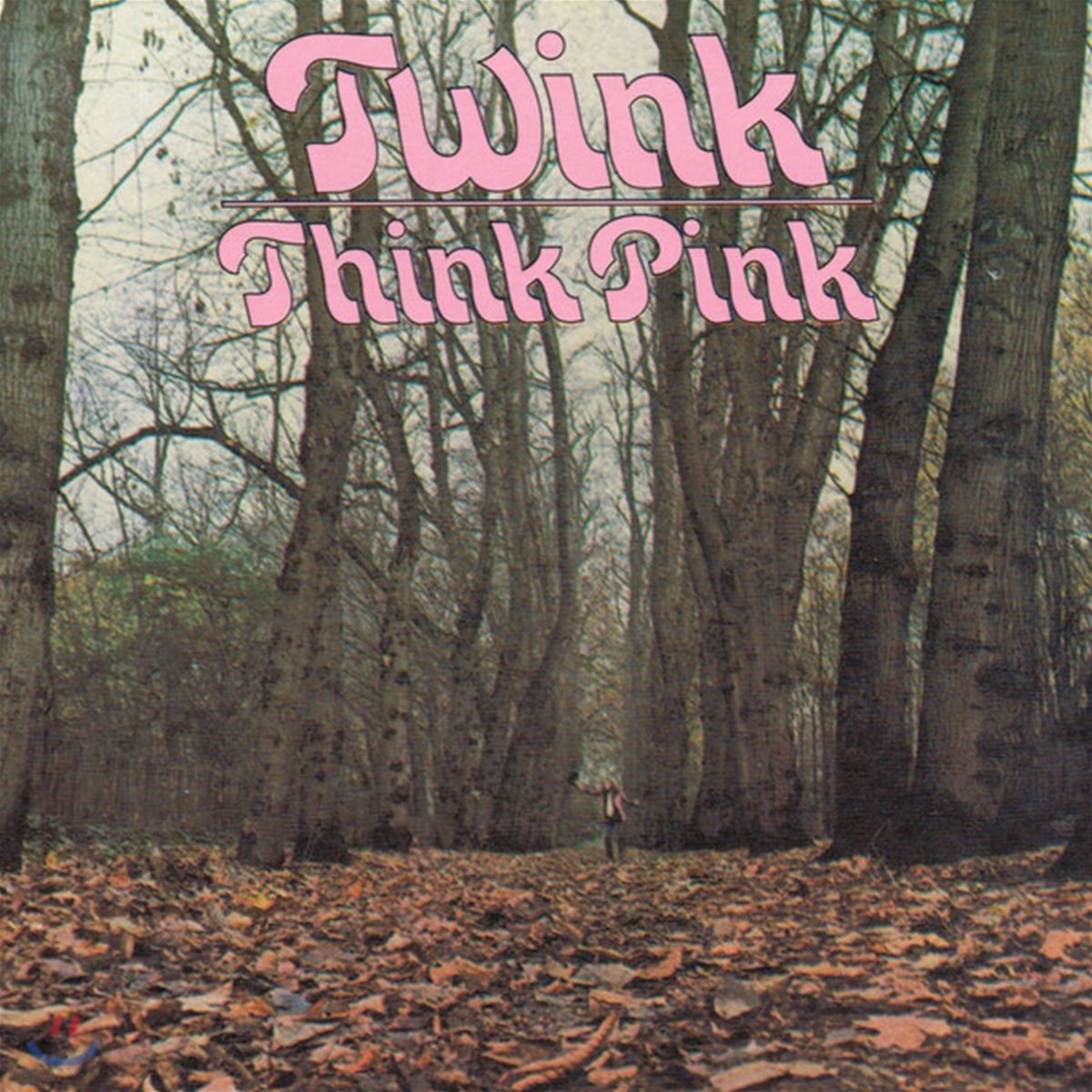 Twink (트윙크) - Think Pink [그레이 &amp; 블랙 컬러 LP]