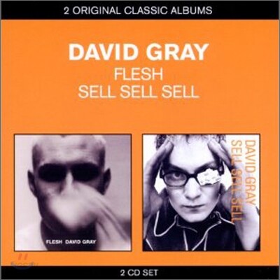 David Gray - Classic Albums: Flesh + Sell, Sell, Sell