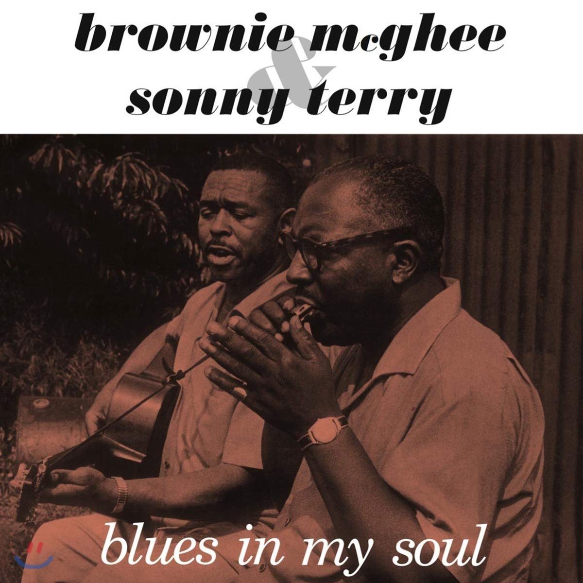 Brownie Mcghee & Sonny Terry - Blues In My Soul [LP]