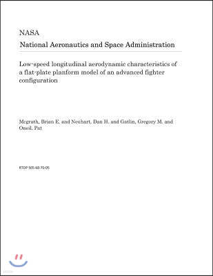 Low-Speed Longitudinal Aerodynamic Characteristics of a Flat-Plate Planform Model of an Advanced Fighter Configuration